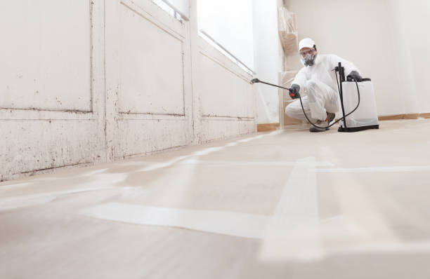 24/7 Emergency Mold Cleanup experts in Abingdon, VA